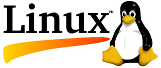 Linux, Linux web server, web hosting