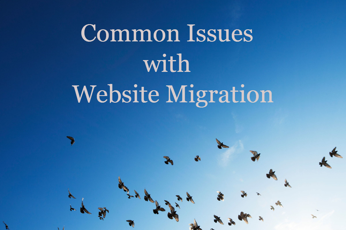 Website Migration