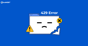 429-Error